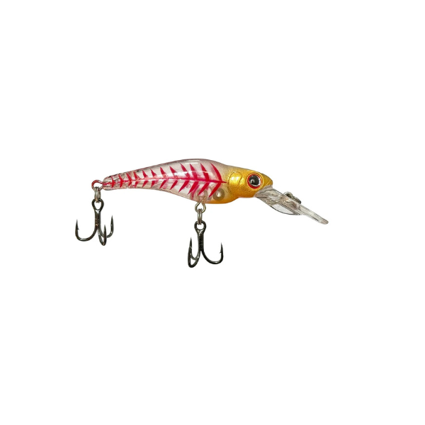 ISCA LAKER 55