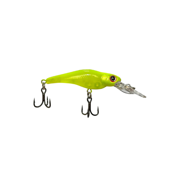 ISCA LAKER 55