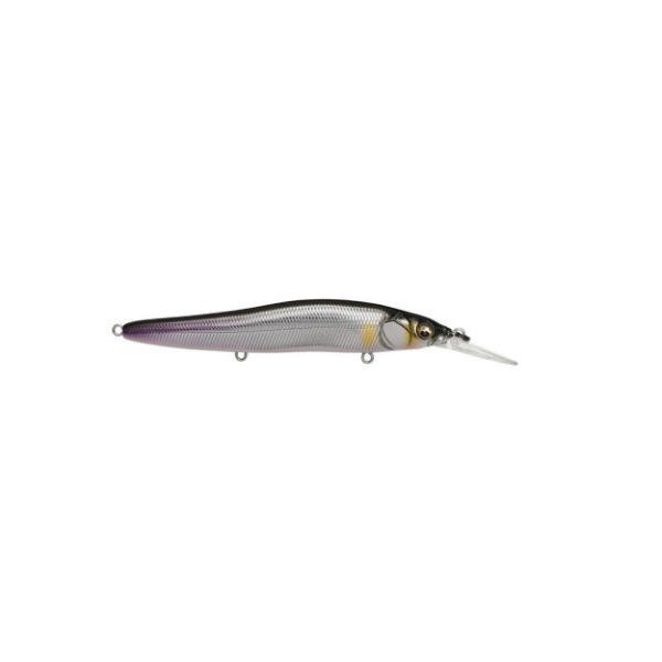 ISCA VISION ONETEN R+1