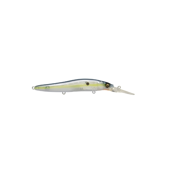 ISCA VISION ONETEN R+2