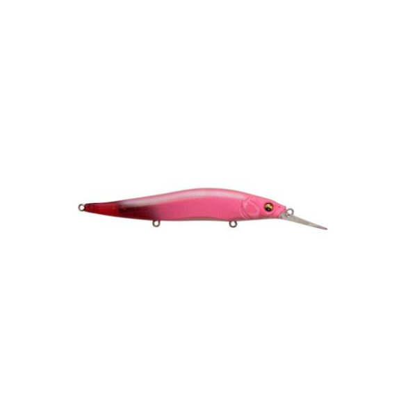 ISCA VISION ONETEN +1 SW