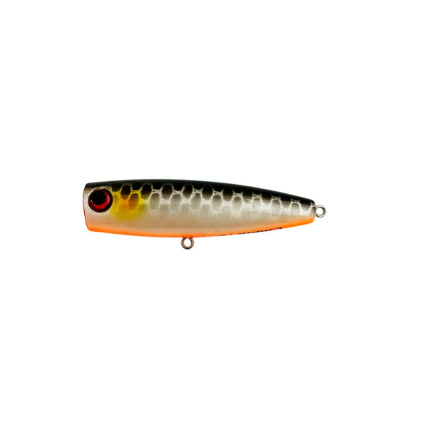 ISCA CUTUCA 75