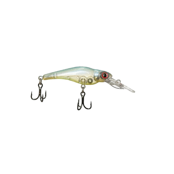 ISCA LAKER 55