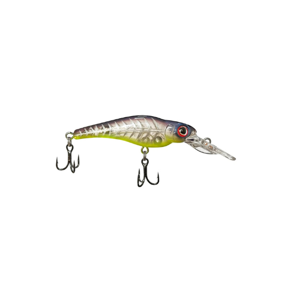 ISCA LAKER 55