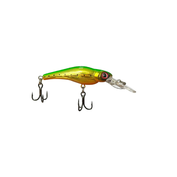 ISCA LAKER 55