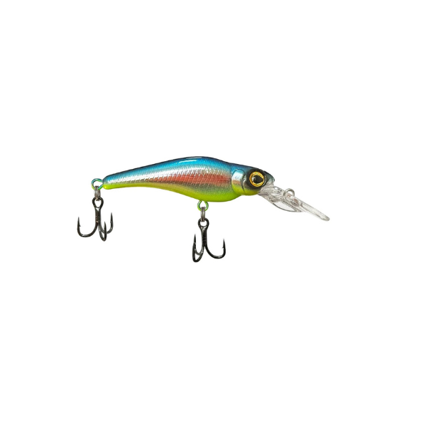 ISCA LAKER 55