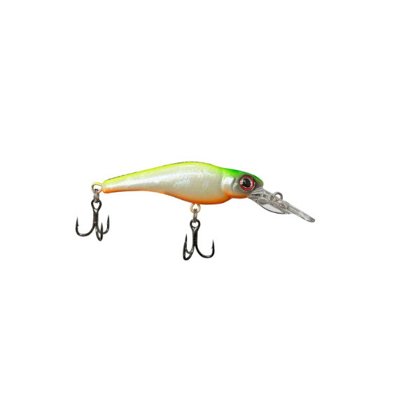 ISCA LAKER 55