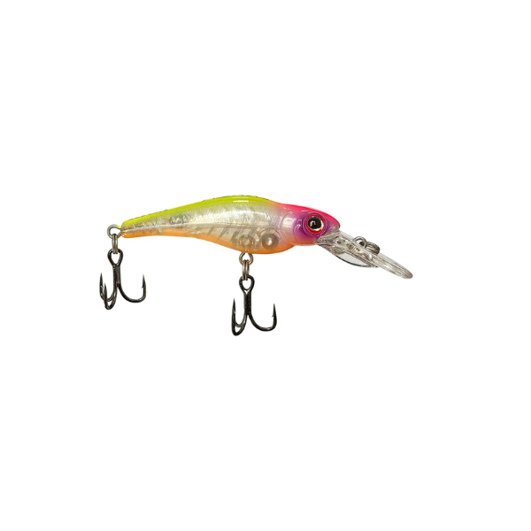 ISCA LAKER 55