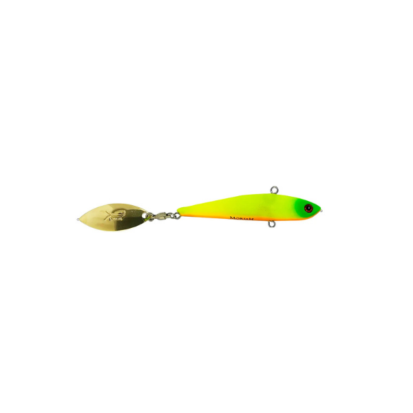ISCA MAIOLI BAIT