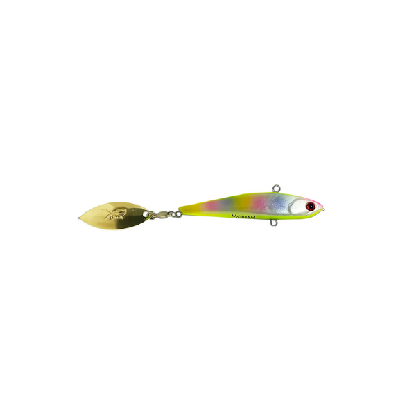 ISCA MAIOLI BAIT