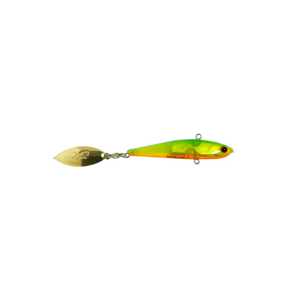 ISCA MAIOLI BAIT
