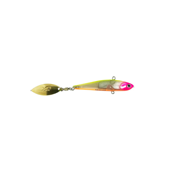 ISCA MAIOLI BAIT