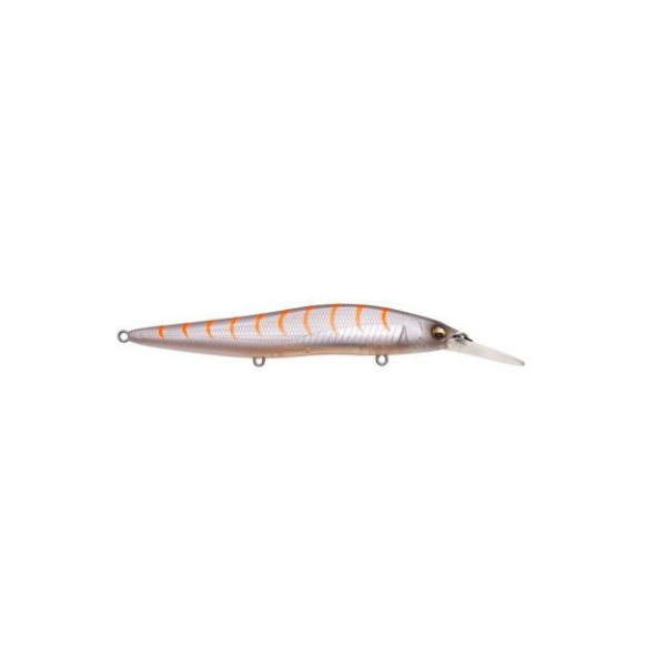 ISCA VISION ONETEN R+1
