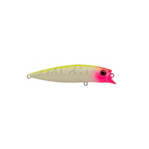 ISCA BRAVA